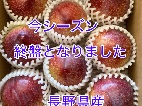 希少品種　長野県産プラム（すもも）「秋さやか」　甘さ・香り・味・酸味どれをとってもバランス最高！　（9〜15個　約2kg前後）
糖度17度〜21度
今シーズンも終盤となりました