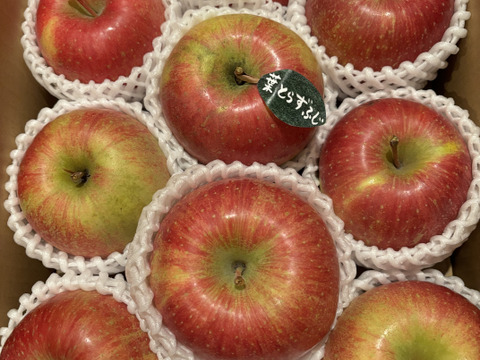 【冬ギフト】 🍎レビュー数1700件突破！！《家庭用》青森完熟葉とらずふじ８〜１２玉(約３kg)🍎ID119812