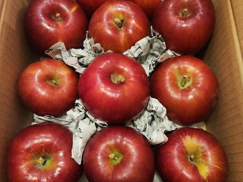 【希少品種】『紅玉』ご家庭用約２ｋｇ　絶妙な酸味と赤い色がお菓子作りに最適なりんご！