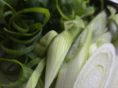 【少量内容量】自然栽培大根×白菜×ネギ(堆肥、農薬、肥料一切無し)