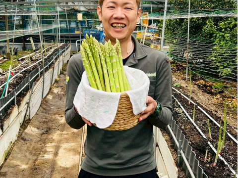 【極太アスパラ】さぬきのめざめ30cm！甘くて柔らか香川県産たっぷり1kg