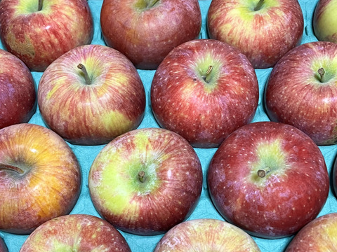 【終わります🍎】シナノリップ5キロ箱 訳あり品商品ID62461 長野県 信州 安曇野 リンゴ 幻 幻のリンゴ 予約 希少 旬
