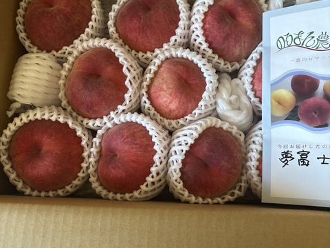 運命の出会い⁉️【67品種の桃を栽培】品種は何が届くかお楽しみ！白桃3㎏【夏ギフト】