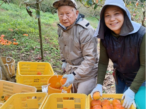 【贈り物＆ご自宅用/１０kg】吉野の富有柿/〜豊かな土と太陽から〜自然な甘みとみずみずしさが違います！