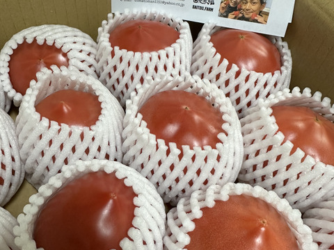 【こだわり土耕栽培】濃厚な愛情と旨み！こてらんねぇトマト M〜Lサイズ(約3kg 入り)