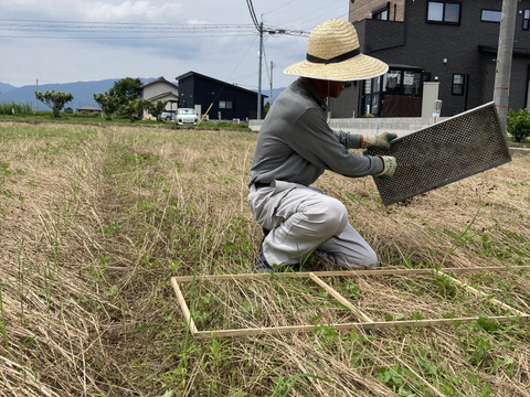 いつもの白米に＋サプリメント米「黒米(もち系)」1kg