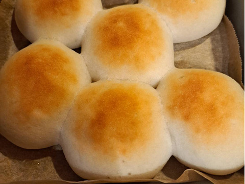 令和7年青森県階上産米粉あおもりっこ1kg×3