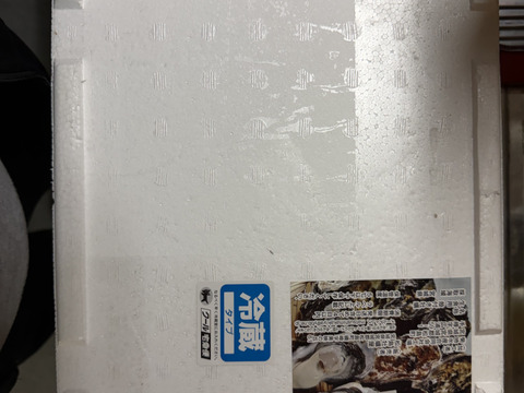 【期間限定10％値引き販売中】🦪 生食用３ｋｇ（18~48粒） 殻付き 牡蠣 牡蛎 殻付き牡蛎 kaki カキ 松島牡蠣屋 生牡蠣にも、BBQに最適🔥 海産物 オイスター A