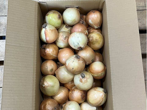 【訳あり特価】甘くて柔らか！淡路島玉ねぎ「いくたま」（5kg）