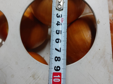 大好評，地層が違う淡路島、大玉ターザン(風袋込み２キロ)