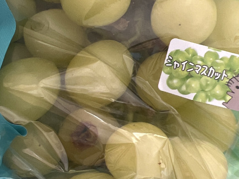 まるせい果樹園のぶどう　　ゴールデンシャイン(ハニーシャインマスカット、金色シャインマスカット)シャインマスカット　1ｋ　(1~4房)　自家用　贈答用答用　oｓ5