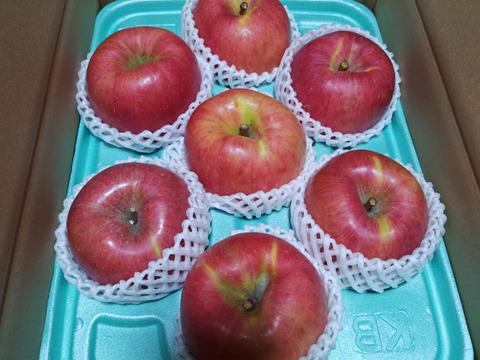 【こうとく】（高徳）蜜入りの希少品種！小ぶりだけど味は一級品！