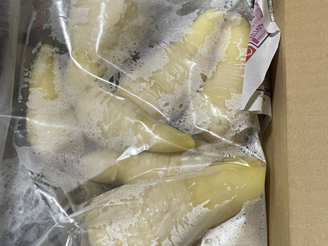 500g】朝堀り！京都山城産『やっこのたけのこ（水煮）』500g