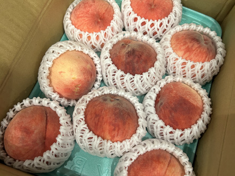 桃　あかつき　良品　約3kg (8個〜14個)数量限定