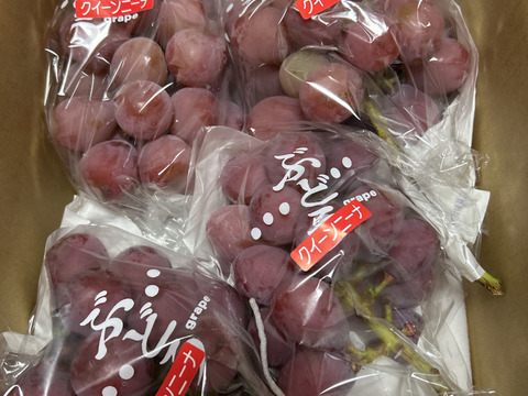 【感動の新品種】#勝沼ぶどう郷産 ”極甘” 『クイーンニーナ』2kg前後（3~4房）