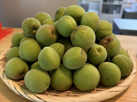 爽やかな香りの南高梅1kg