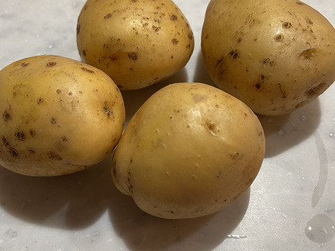 【インカのめざめ改良品種】【馬鈴薯会の超新星】【訳あり】ながさき黄金 3kg