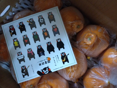 不知火デコ柑3k以上入ってます、サイズコミコミB品小玉多めになります。