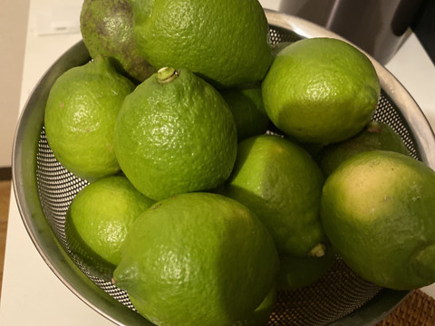 【自然栽培レモン】2㎏-農薬不使用/無肥料/無除草剤