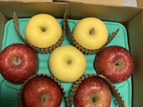 【サンふじ・はるか HALF&HALF】（2kg・6～9個入り）パリパリ・ジューシーお得な家庭用