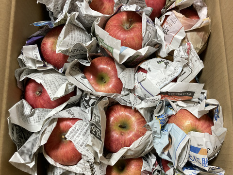 最終❗️山形県産　サンふじ🍎小玉🍎10キロ　訳あり家庭用❗️