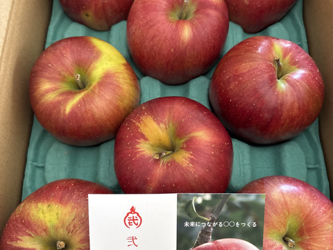 ★売りつくしセール★信州安曇野産りんご🍎シナノスイート🍎【3kg家庭用🍎8個～12個入り】〜見た目は劣っても味はそのままのワケアリりんごたちを詰め合わせました〜※化学合成農薬約40％削減