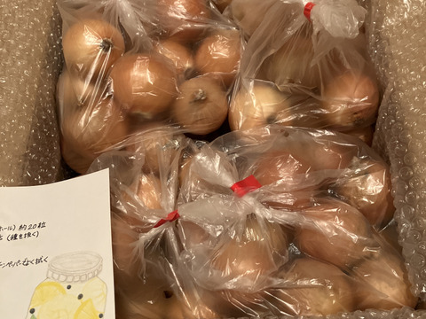 物価高騰応援価格‼️
甘さと食感が…タマネギSサイズ20kg¥1,990円❗️大箱で送料節約
北海道　直播玉ねぎ