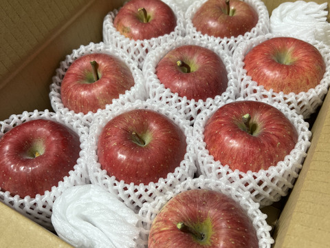 新規農家🔥初出品‼️応援よろしくお願いします🫶🏻
青森県産サンふじ🍎（家庭用・5kg）
まずは当園の味を知ってほしい！特別価格でご提供します！