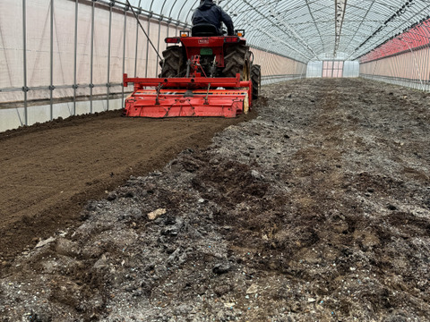 【有機肥料•農薬不使用】喉を潤すジューシーさと飽きない優しい甘み♡福井で生まれた華小町トマト！【1kg】