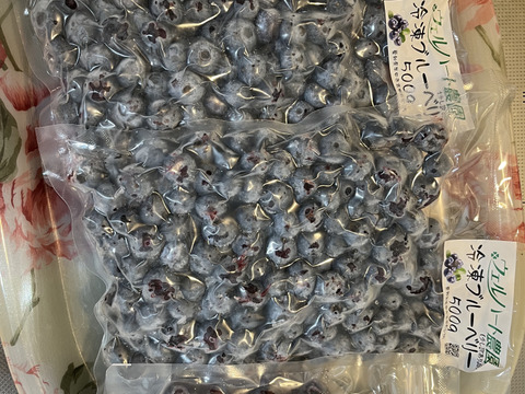 少しだけ訳ありなので特価！知多半島産【冷凍ブルーベリー1㎏】