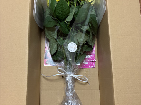 【イリオス15本】期間限定2月まで1日1束🍋レモンイエロー🍋【ご自宅用簡易ラッピング】