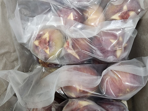 約3キロ　冷凍ゴロゴロいちじく　蓬莱柿　まるでアイス　シャーベット　イチジク