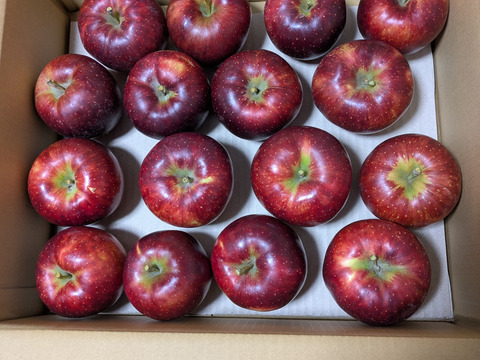 信州産秋映5kg16玉