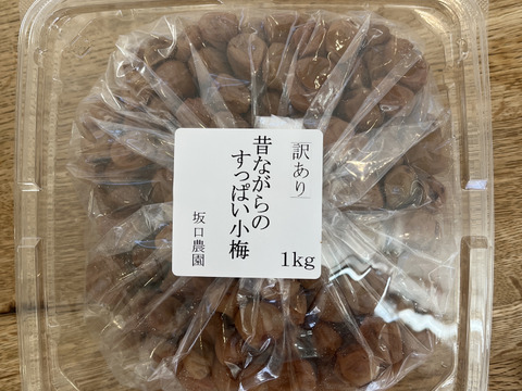 【訳あり】昔ながらのすっぱい小梅をたっぷり１kg！