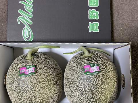 驚く甘さ！　驚く大きさ！ジューシー！　熊本県産肥後グリーンメロン　2玉入り　4kg以上