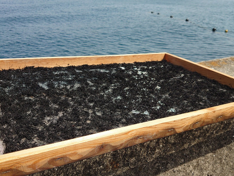 鉄釜が引き出す「黒」と「食感」！
『島鹿尾菜』しまひじき／柔め（50g）