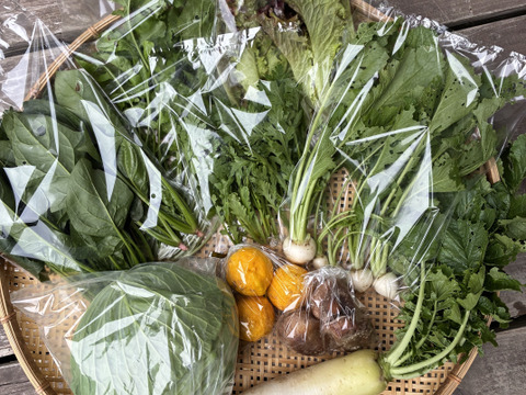 ギフトにも！小さな農家、旬のお野菜セット　8〜10品目熨斗対応可＜農薬、化学肥料不使用＞【冬ギフト】