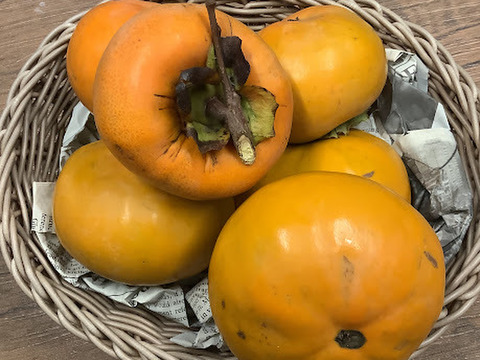 【柿1㎏】知多半島産　栽培期間中農薬不使用