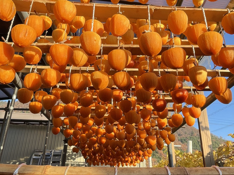 お得パック！甲州百匁柿『枯露柿』（ご家庭用・徳用　約５００ｇ）