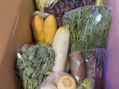 Mサイズ ＊旬野菜セット(約8~9品)【農薬：栽培期間中不使用】