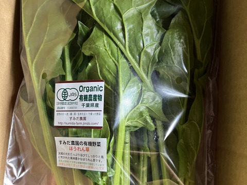 豊かな大地で育った有機人参(3kg) 有機JAS認証  旬のお野菜1品オマケ付き