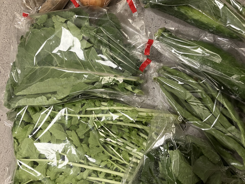 【自然栽培】高原の野菜セットS（7〜8品目）