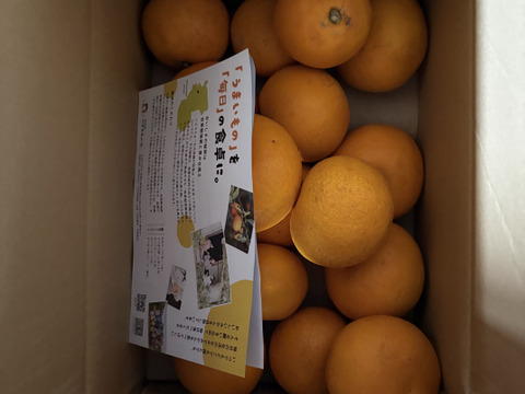 【セール中！】あなたの常識が変わる！プリプリジューシーなさつき八朔🍊（樹上超熟八朔） 【訳あり】4kg