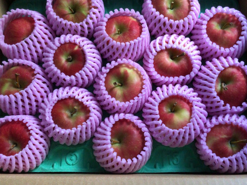 🍎幻の夏りんご🍎夏あかり 3キロ箱 小玉品種〜18玉 商品ID40928 長野県 信州 安曇野 リンゴ 幻 幻のリンゴ 予約 希少 旬