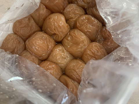 塩分控えめ！  はちみつリンゴ酢梅５００ｇ（２５粒～３０粒）　塩分６％