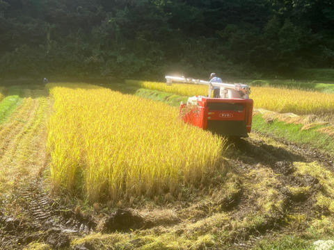 無施肥・農薬不使用・除草剤不使用 南魚沼産コシヒカリ 玄米 5kg