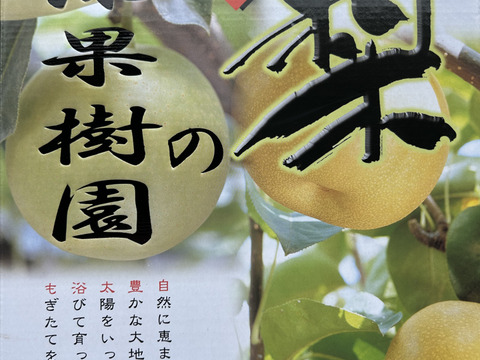 期間限定 秋の味覚　佐賀県産☆秋月梨　二代目川添果樹園の一品