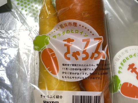 感動するほど甘い福井市特産「きゃろふく」ニンジン9Kg