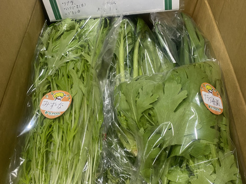★５月販売分　野菜セット【コラボステッカーつき！】