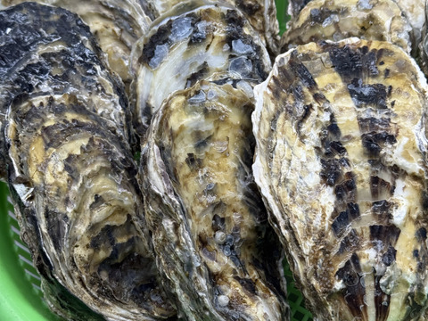 旬の貝類バーベキューセット